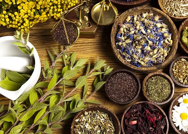 HERBAL EXTRACTS